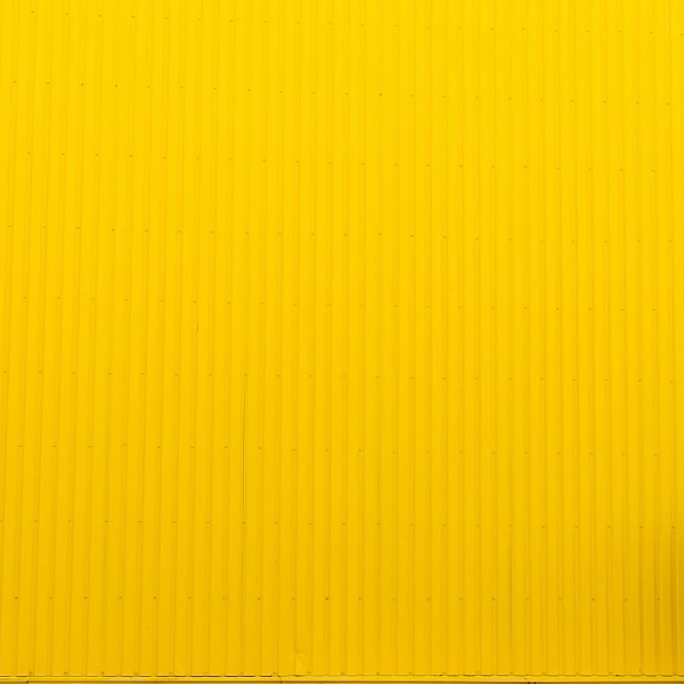 Balancing Confidence and Competence in Professional Mentoring