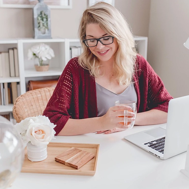 Engaging Learning Environments: The Role of Professional Mentoring