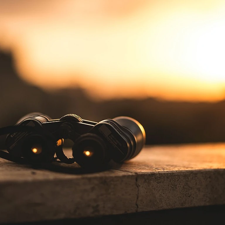 Crafting Effective Development Goals for Managers