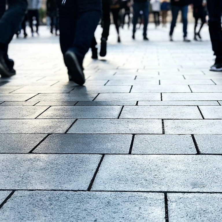 Navigating the Talent Tree Login: A Guide for Aspiring Mentors