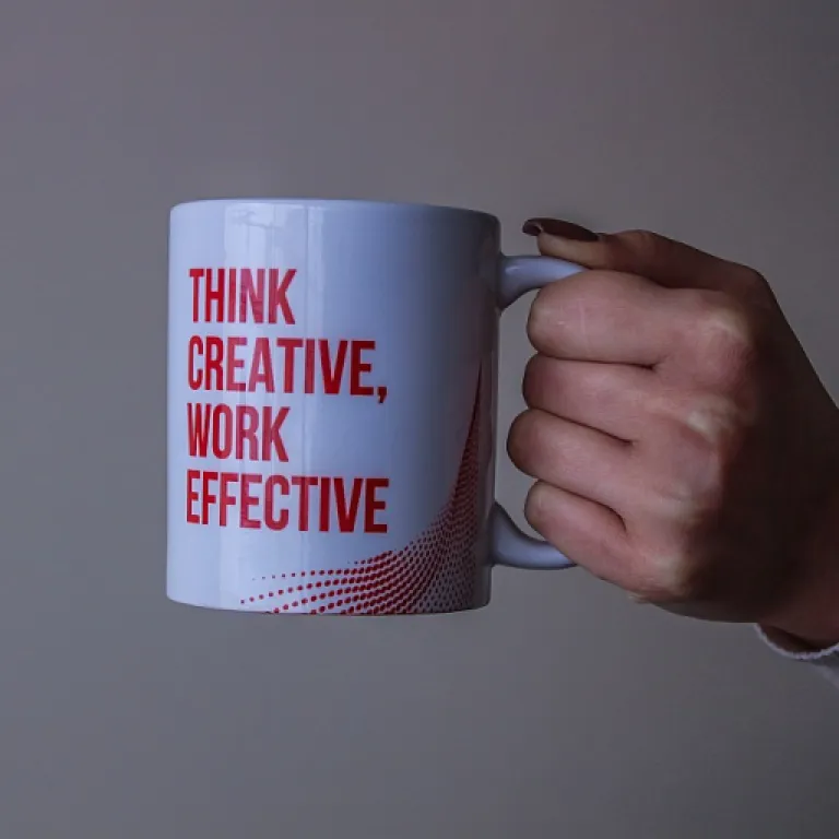 How my flex learning can transform your professional mentoring journey